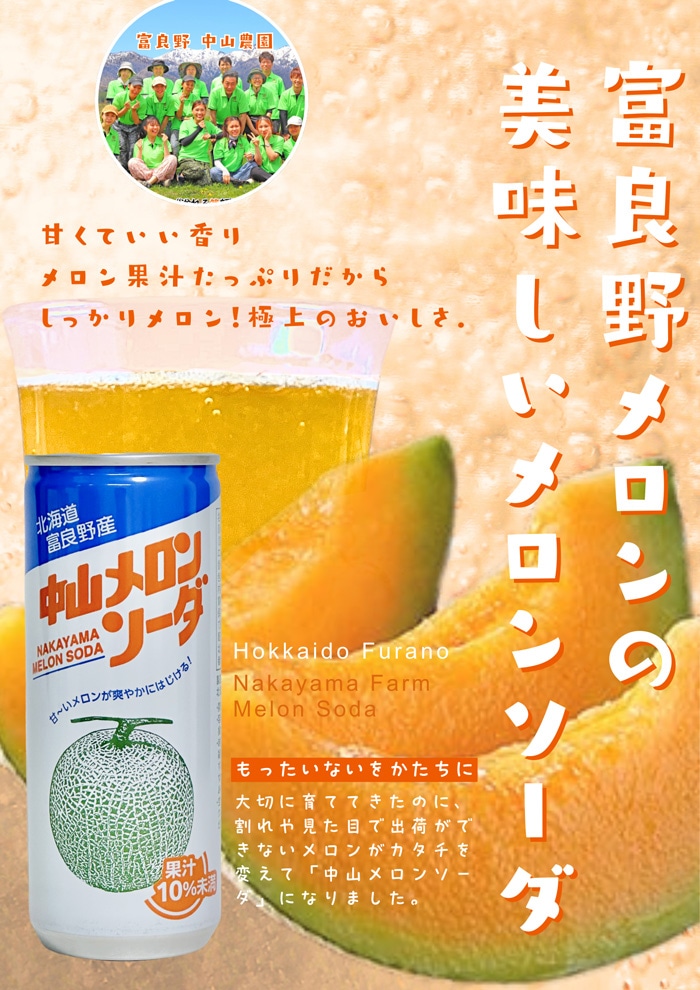 富良野 中山メロンソーダ 30缶 | 野菜ジュース ☆富良野中山メロン